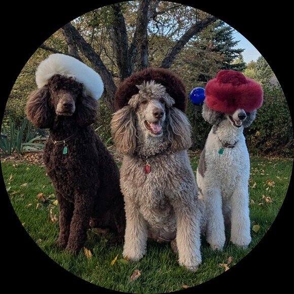jkpoodle